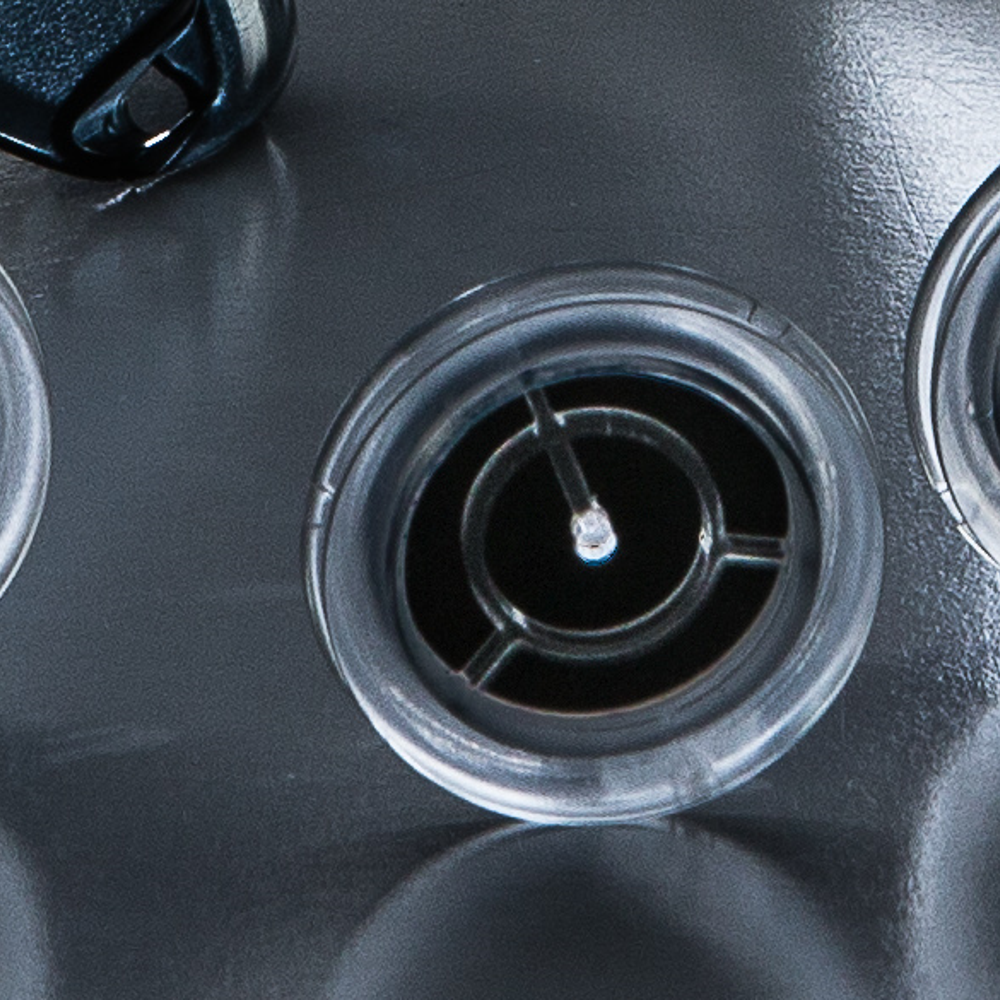 CleanSpace™ Full Face Mask Inhalation Valve (6 valves) (spare)