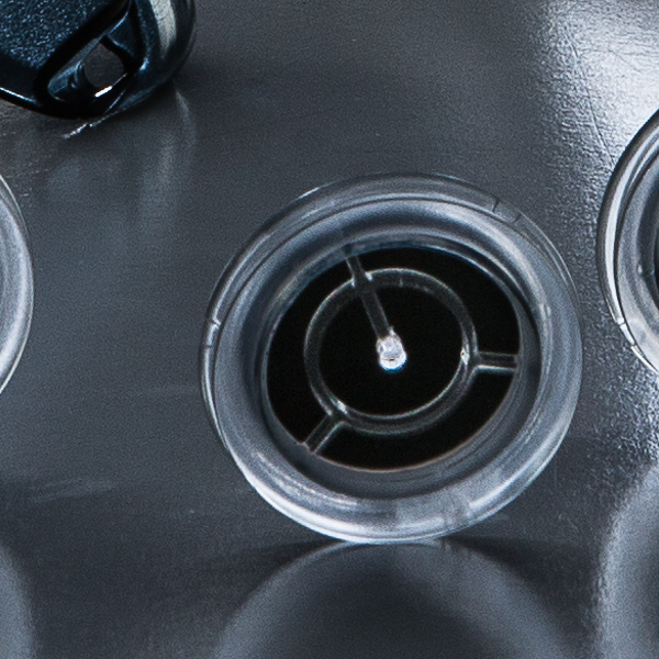 CleanSpace™ Full Face Mask Inhalation Valve (6 valves) (spare)